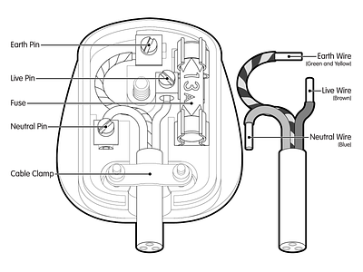 Plug Illustration