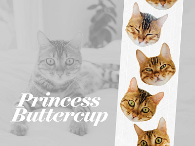 The Many Faces of Princess Buttercup cats sticker mule tape