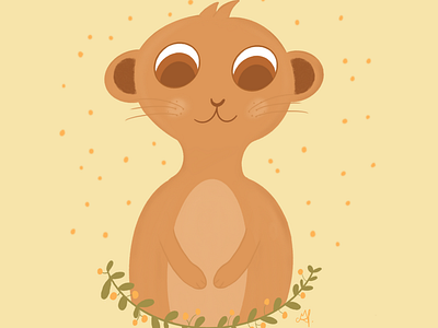 Baby suricate
