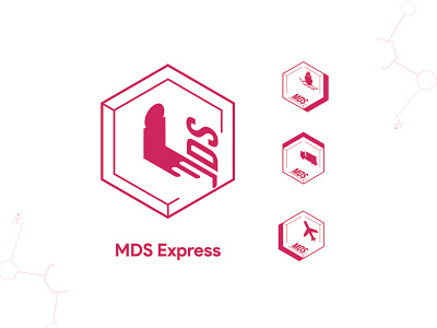 mds express art branding graphic design icon illustration art landing page logo logo design logodesign logos