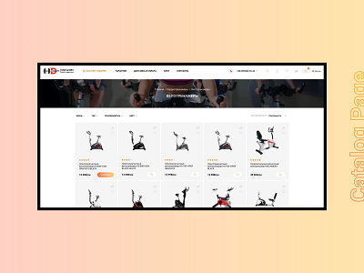 Catalog Page of Online Store Sport Equipment