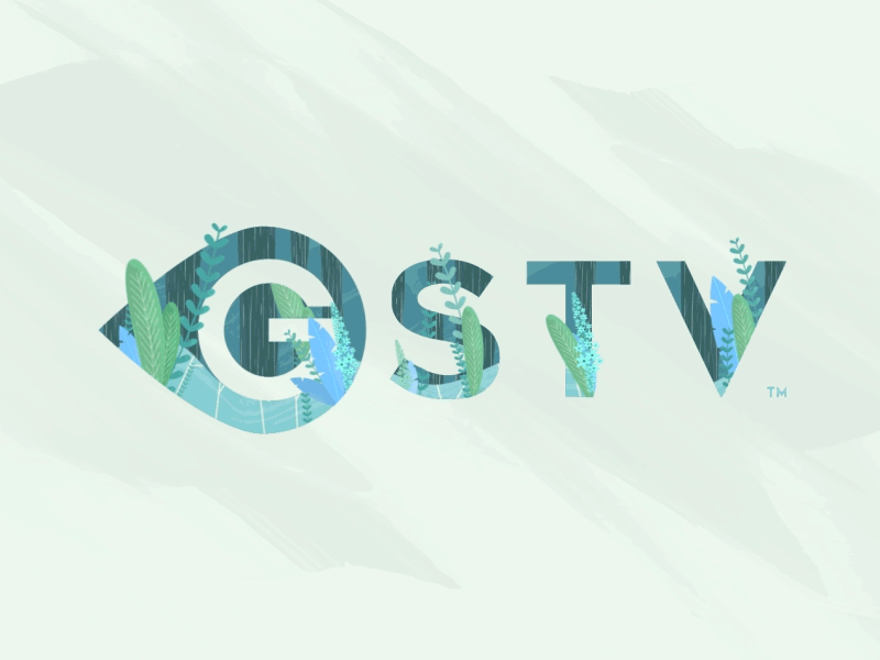 GSTV On-Air Spring Bumper animation content logo