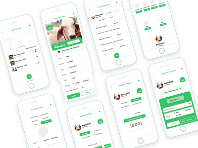 Dairy Farm Management App best best of dribbble cow dailyui dairy dairy management easy management milk record reports