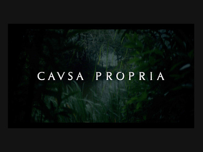 CAUSA PROPRIA Logo Design branding cinema design logo logotype design minimal symbol vector