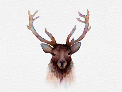 Elk Watercolor