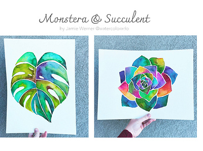 monstera and succulent watercolors flower illustration leaf mod modern monstera painting succulent watercolor watercolor art
