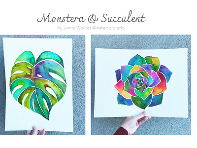 monstera and succulent watercolors