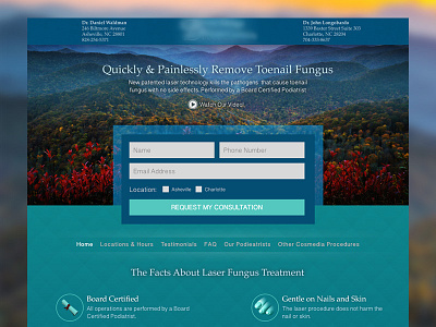 Landing Page blue form green landing page