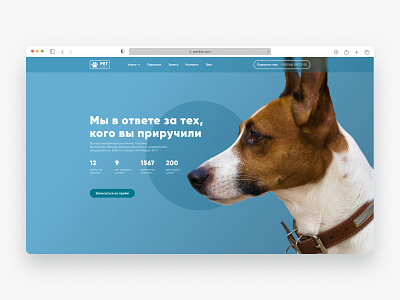 Veterinary clinic design dog figma ui ux veterinary web webdesign