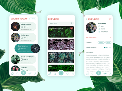 ilovegreen: mobile app for your plants