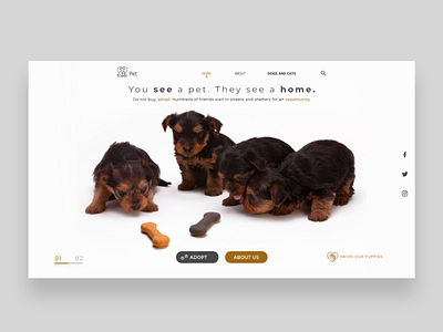 Pets web v0.2 adobexd design pets puppies puppy uidesign uidesigner uiux