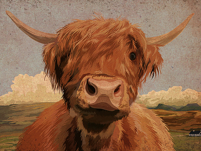 Highland Cow cow hairy highland horns illustration landscape scotland texture vector