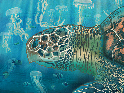 Green back turtle fish illustration jellyfish marine ocean sealife turtle