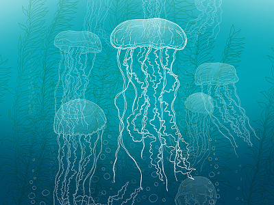 Jellyfish with kelp floating jellyfish kelp marine ocean sea life seaweed