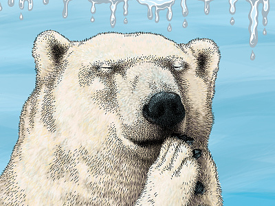 Polar Prayer arctic climate change endangered species global warming ice melting north pole polar bear prayer