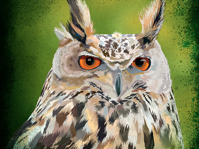 Eagle Owl big ears bird eagle feathers large eyes owl portrait predator