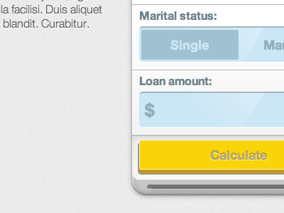 Current iteration app css3 finance tool ui