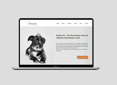 Landing Page and logo design for grooming Salon graphicdesign logo ui design uxdesign uxui webdesign