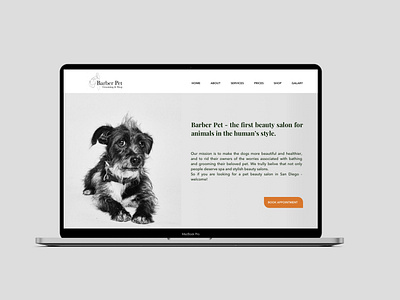 Landing Page and logo design for grooming Salon