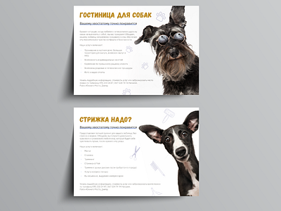 brochures for dog hotel and grooming brochures design graphicdesign