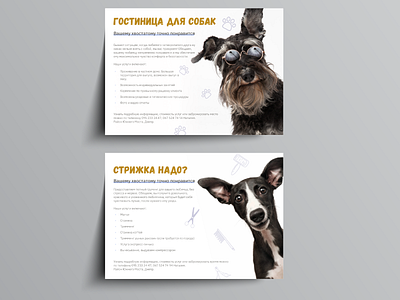 brochures for dog hotel and grooming