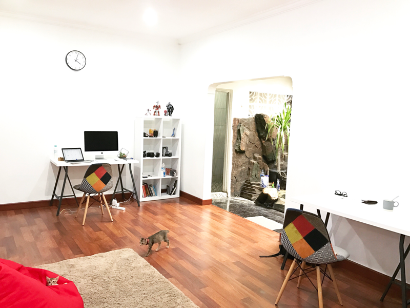 Workspace ux ui cat photo workspace design studio