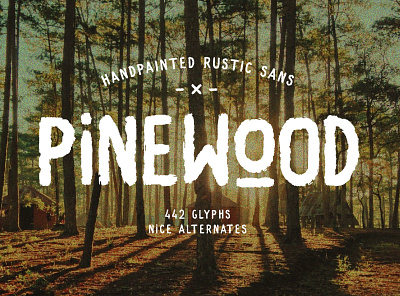 Pine Wood - Handpainted Rustic Sans branding brush creative market font graphic design handpainted logo logo design sans type design typeface typography
