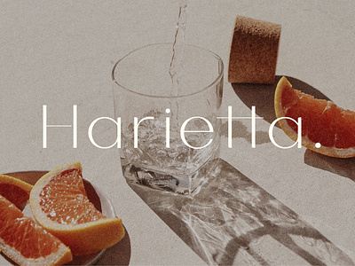 Harietta - Semi-Geometric Clean Sans