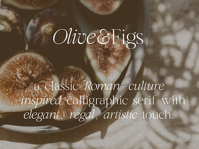 Olive & Figs - Regal Classic Serif branding classic creative market editorial design elegant font graphic design logo design regal serif type design typeface typography