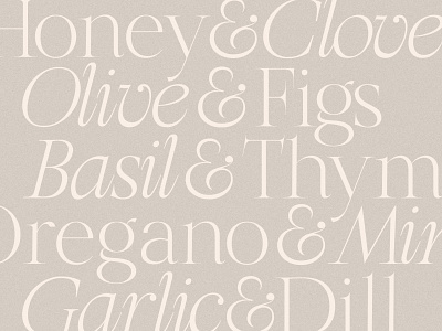 Olive & Figs - Regal Classic Serif