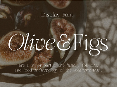 Olive & Figs - Classic Regal Serif aesthetics branding classic creative market editorial design font graphic design logo design regal serif type design typeface typography