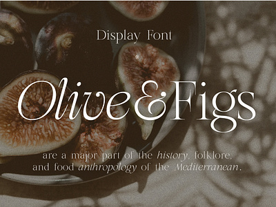 Olive & Figs - Classic Regal Serif