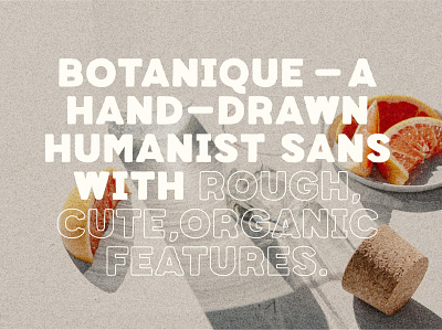 Botanique - Hand-drawn Humanist Sans aesthetic branding creative market font friendly graphic design hand drawn humanist logo design organic packaging sans serif type design typeface typography