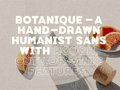 Botanique - Hand-drawn Humanist Sans
