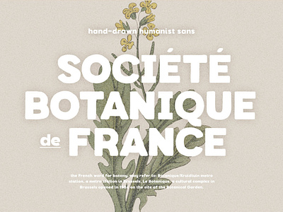 Botanique - Hand-drawn Humanist Sans