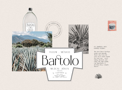 Argentine - Elegant Nostalgic Sans aesthetic branding creative market design editorial elegant font fonts graphic design logo logo design nostalgic packaging retro serif type design typeface typography ui