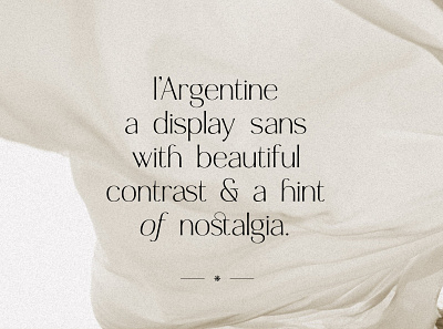 Argentine - Nostalgic Elegant Sans branding classic creative market design editorial font fonts graphic design logo design nostalgic packaging retro type design typeface typography ui