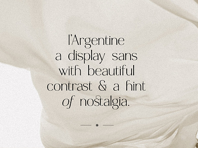 Argentine - Nostalgic Elegant Sans