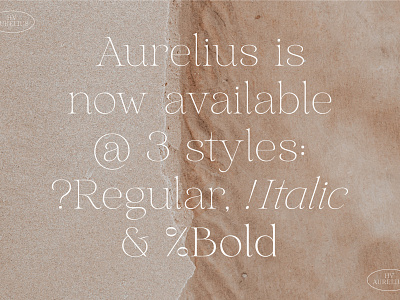 Aurelius - Feminine Chic Serif branding chic creative market design elegant fashion font fonts graphic design logo logo design minimal serif type design typeface typography