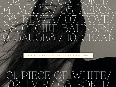 Aurelius - Feminine Chic Serif