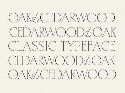Cedarwood - Classy Serif aesthetic branding classic creative market editorial elegant fashion font graphic design logo logo design minimal packaging regal serif type design typeface typography