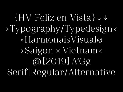 Feliz en Vista Font branding creative market design fashion font graphic design lifestyle logo logo design serif stylish type design typedesign typeface typography