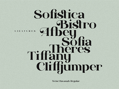 Weist Havanah - Modern Serif