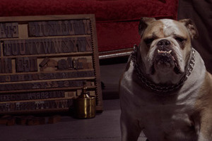 A Portrait blacklist visual bulldog icono reps letterpress mandate press portraiture roccodog wood type