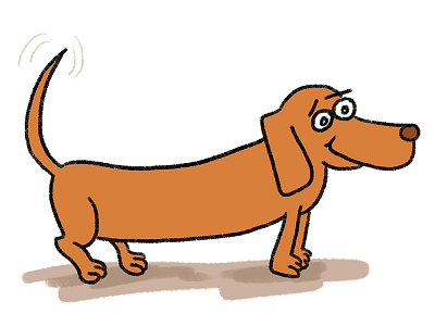 Dog Illustration dachshund digital illustration dog