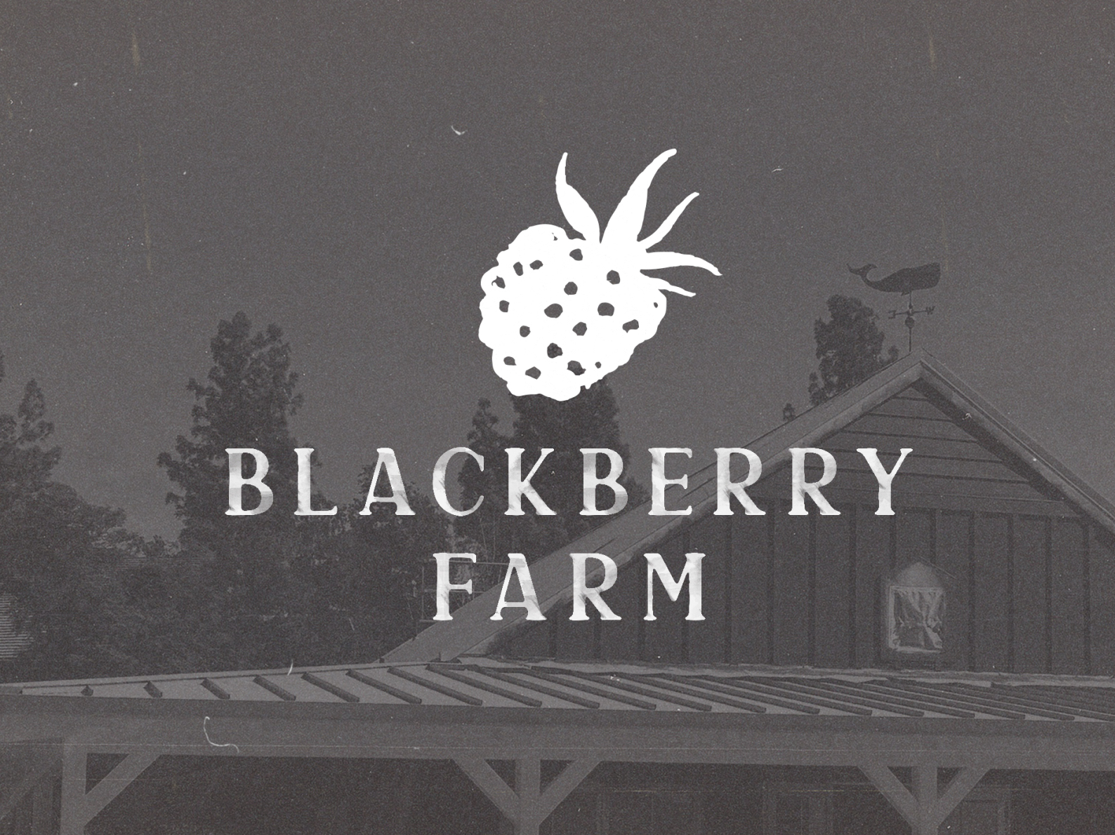 Blackberry Farm Concept Art By Lauren Lewis On Dribbble   Bfpicture Copy 