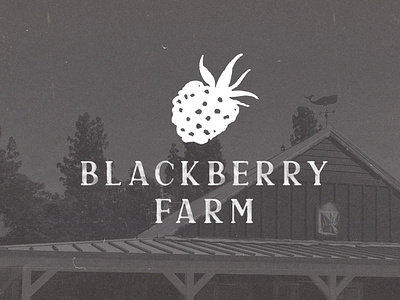 Blackberry Farm - Concept Art black and white farmhouse film texture grayscale logo design monochromatic watercolor white text on image