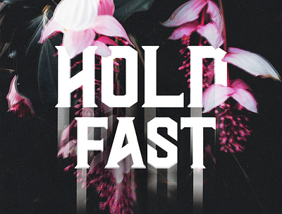Hold Fast anaglyph bible blending modes blur christian christian design dark faith flowers god goodtype moody photoshop pink scripture texture textures typography white text
