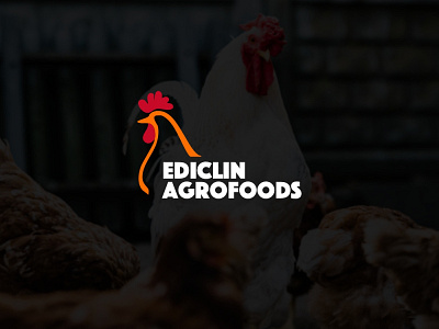 Brand Identity Design For Ediclin Agrofoods agriculture agriculture logo branding branding design design designer logo logodesign poultry vector