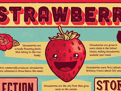 The Strawberry berry delicious inforgraphic strawberry